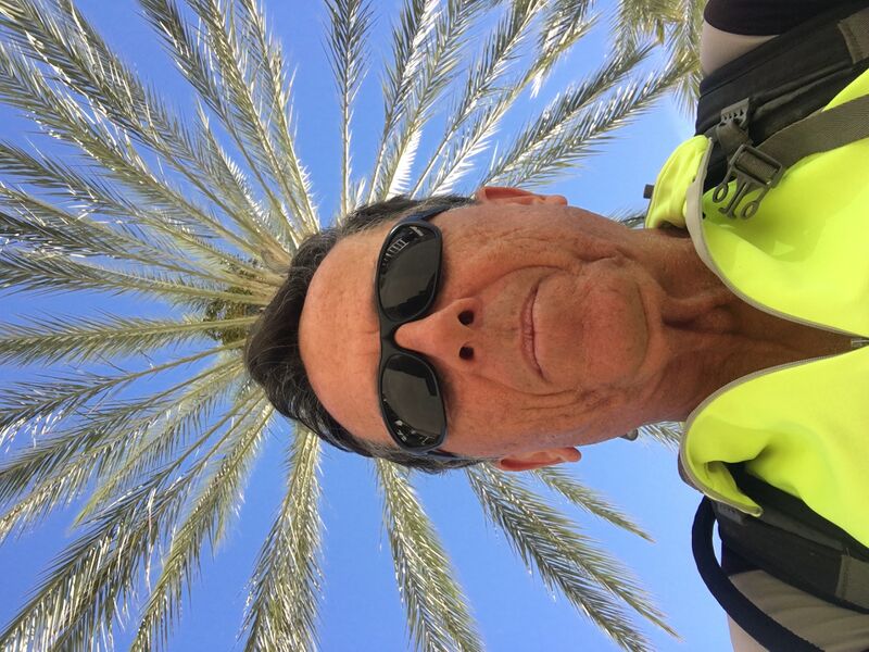 File:Joey palmtree.jpg