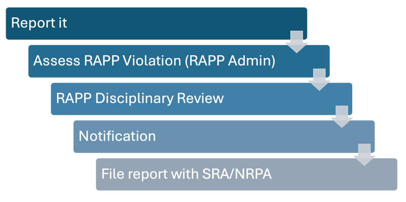 File:RAPPIntroGraphic.png