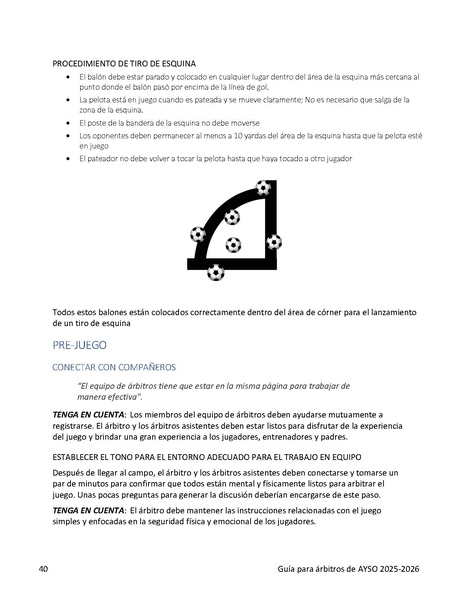 File:Referee Guideline-Spanish.pdf