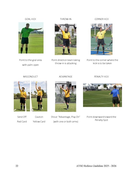 File:Referee Guideline.pdf
