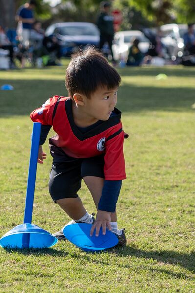 File:2024-10-19 10-29-32 GH7 P1002918-X4.jpg