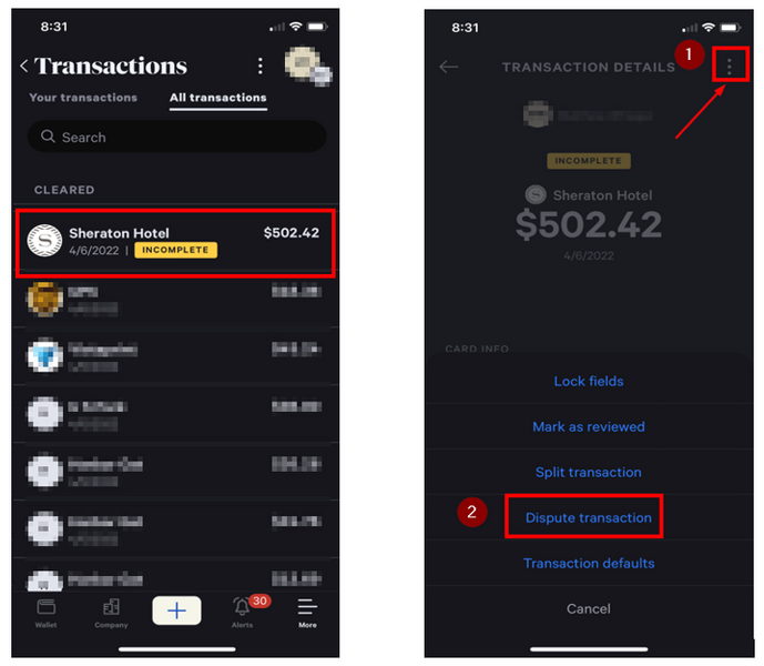File:Dispute charge 5.png
