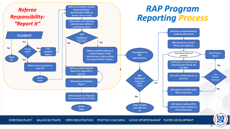 File:RAP process flow.png